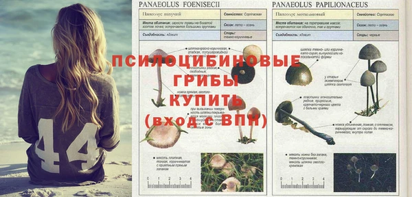 каннабис Лихославль