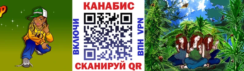 Шишки марихуана план  купить закладку  Тбилисская 